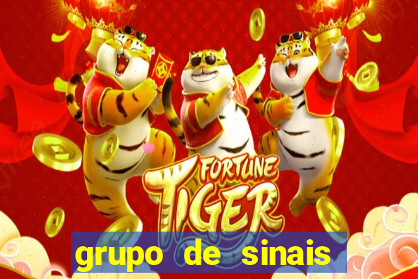 grupo de sinais fortune rabbit